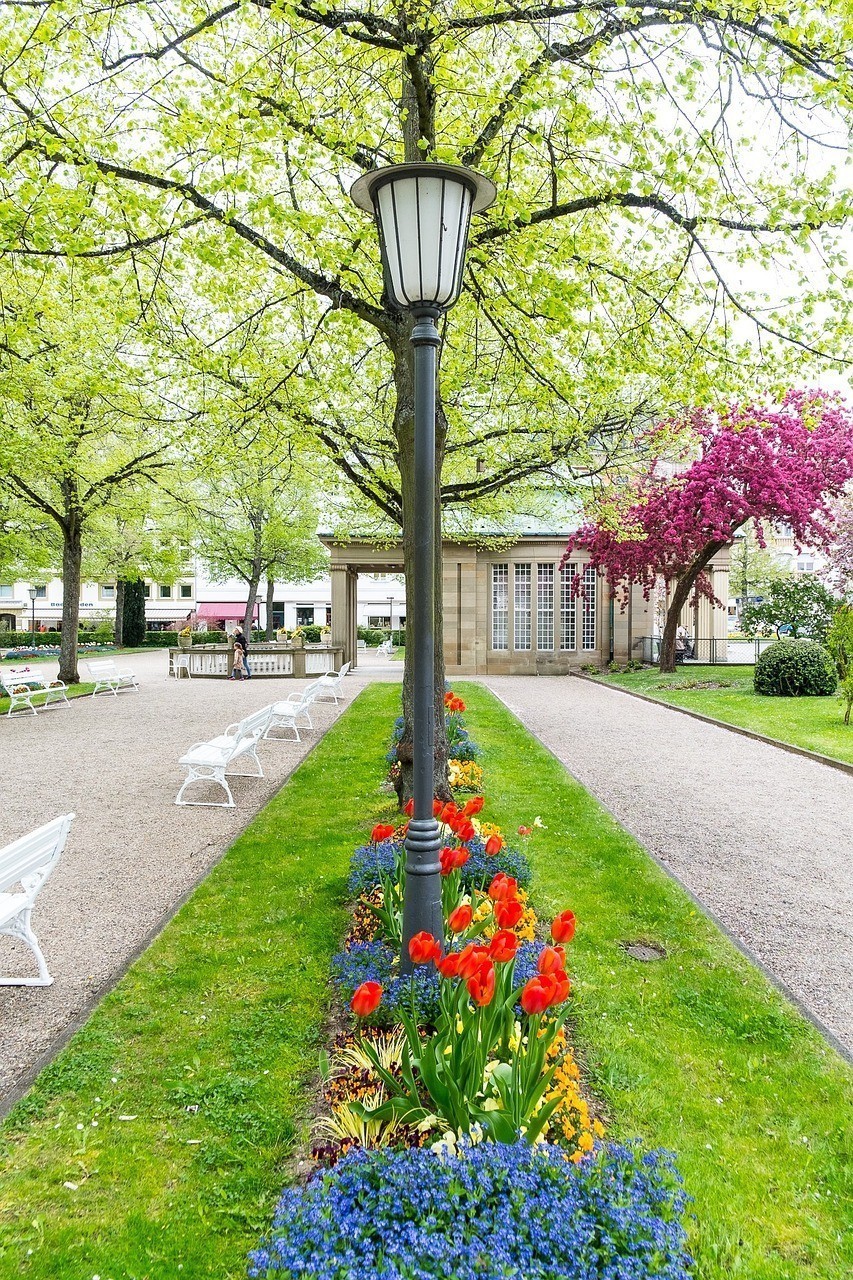 棗強(qiáng)縣大營(yíng)鎮(zhèn)善水居花卉水族店