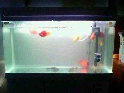 威海魚缸制作：威海魚缸定制廠家