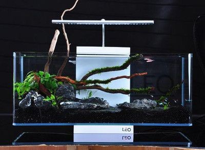 威海魚缸制作：威海魚缸定制廠家