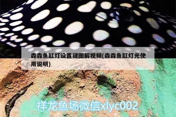 森森魚缸燈自動亮怎么調：森森魚缸燈怎么設置 森森魚缸燈自動亮怎么調：森森魚缸燈怎么設置 魚缸百科 第3張