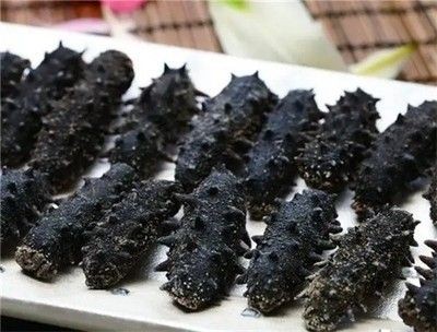廣州魚缸回收的相關信息：廣州回收魚缸的相關信息