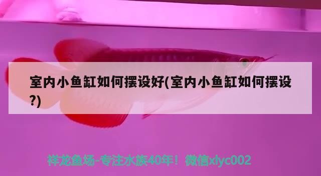 天津市河?xùn)|區(qū)鴻都水族店（北方）