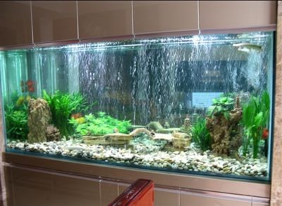 新買的魚缸需要經過幾個步驟包括清洗、消毒、養水和最后的魚類放入：新買的魚缸使用流程