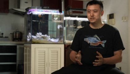 海王魚缸哪里生產的好（海王魚缸制作工藝探究深圳魚缸制作工藝探究深圳魚缸）