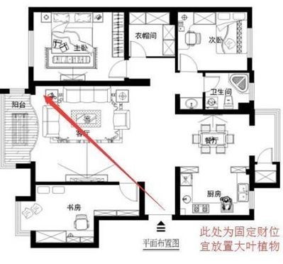 魚缸擺放位置的影響：關于魚缸擺放位置的一些建議