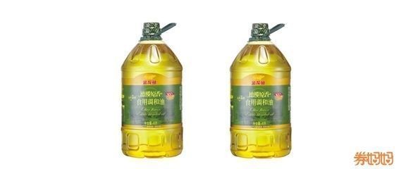 大金龍和金龍魚哪個好（大金龍和金龍魚各有優勢）