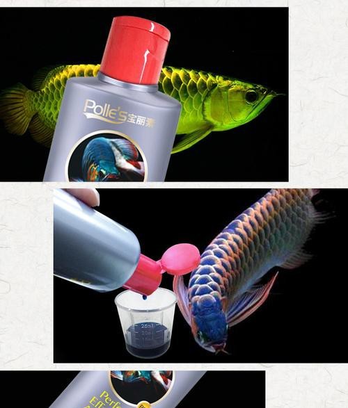 推薦幾款適合金龍魚的驅蟲藥