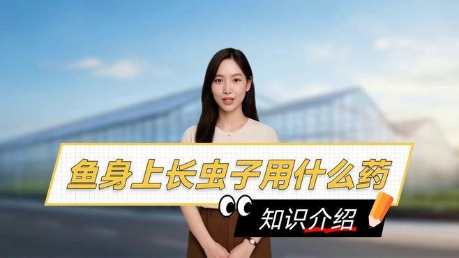推薦幾款適合金龍魚的驅蟲藥