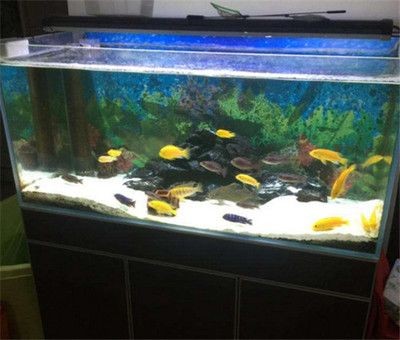 魚缸底沙的選擇和搭配:底濾魚缸鋪底沙可以幫助于養(yǎng)魚愛好者構(gòu)建更健康、和諧的魚缸環(huán)境 魚缸百科 第1張 魚缸底沙的選擇和搭配:底濾魚缸鋪底沙可以幫助于養(yǎng)魚愛好者構(gòu)建更健康、和諧的魚缸環(huán)境 魚缸底沙的選擇和搭配:底濾魚缸鋪底沙可以幫助于養(yǎng)魚愛好者構(gòu)建更健康、和諧的魚缸環(huán)境 魚缸百科 第1張