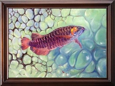 龍魚有人收嗎：探究龍魚的收容狀況