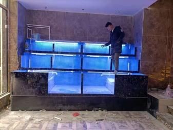 自制海鮮池的創意設計：<strong><mark>深圳</mark></strong>飯店訂做海鮮池制作視頻