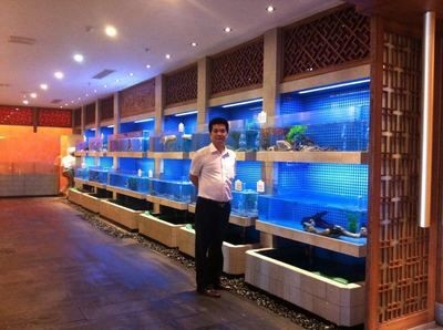 上海水族批發市場vs祥龍魚場（上海水族批發市場）