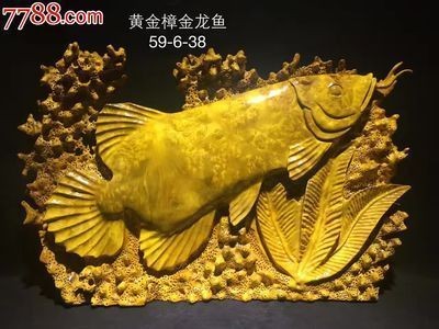 海豐縣城銀煌水族館（海豐縣城銀煌水族館地址）