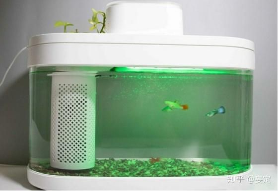 小米畫法幾何魚缸加熱棒怎么調(diào)溫度：小米畫法幾何魚缸加熱棒怎么調(diào)溫度魚缸加熱棒常規(guī)方法 小米畫法幾何魚缸加熱棒怎么調(diào)溫度：小米畫法幾何魚缸加熱棒怎么調(diào)溫度魚缸加熱棒常規(guī)方法 魚缸百科 第2張