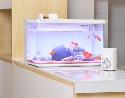 小米畫法幾何魚缸加熱棒怎么調(diào)溫度：小米畫法幾何魚缸加熱棒怎么調(diào)溫度魚缸加熱棒常規(guī)方法 小米畫法幾何魚缸加熱棒怎么調(diào)溫度：小米畫法幾何魚缸加熱棒怎么調(diào)溫度魚缸加熱棒常規(guī)方法 魚缸百科 第3張