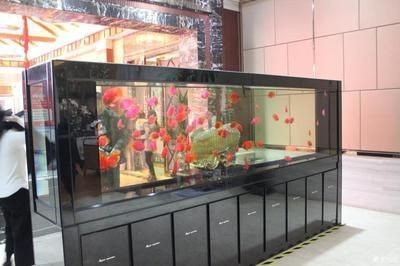 綏芬河市迎澤市場亮點水族（綏芬河迎澤建材市場）