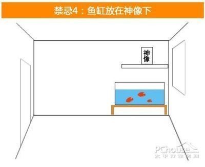 木命家里放魚缸好嗎：如何選擇適合木命的魚缸