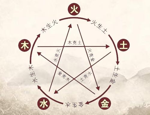木命家里放魚缸好嗎：如何選擇適合木命的魚缸