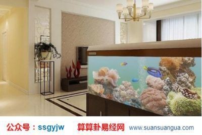 木命家里放魚缸好嗎：如何選擇適合木命的魚缸