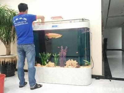 木命家里放魚缸好嗎：如何選擇適合木命的魚缸