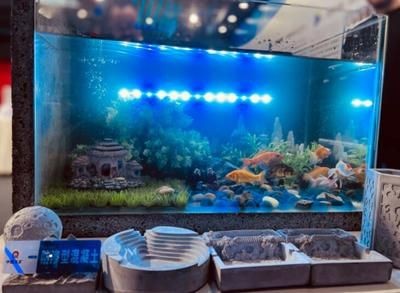 鋼結構魚缸設計原理鋼結構魚缸的設計原理和設計原理：鋼結構魚缸的設計原理