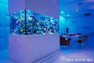 風(fēng)水魚的選擇與意義：如何利用魚缸提升家居財(cái)運(yùn)