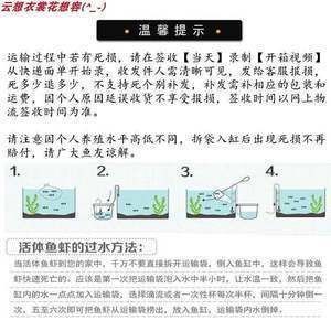 龍魚運(yùn)輸能堅(jiān)持多久：龍魚在運(yùn)輸過程中的存活時(shí)間受到多種因素影響