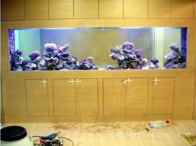 上海魚(yú)缸制作（上海魚(yú)缸制作,崇安區(qū)鴻顏水族器材經(jīng)營(yíng)部） 上海魚(yú)缸制作（上海魚(yú)缸制作,崇安區(qū)鴻顏水族器材經(jīng)營(yíng)部） 魚(yú)缸百科 第1張