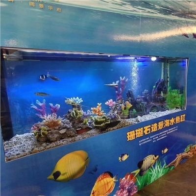 海水魚缸的價格范圍和養(yǎng)護技巧：海水魚缸價格可以根據(jù)不同尺寸、材質(zhì)和配置有很大差異 海水魚缸的價格范圍和養(yǎng)護技巧：海水魚缸價格可以根據(jù)不同尺寸、材質(zhì)和配置有很大差異 魚缸百科 第4張