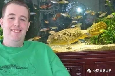 皇冠狗頭適合多大魚缸（皇冠狗頭魚的飼養技巧）