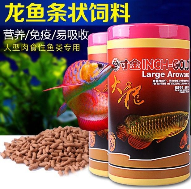 避免對(duì)龍魚有害的飼料成分：喂養(yǎng)龍魚時(shí)，應(yīng)避免使用含有有毒成分的飼料成分和注意事項(xiàng)