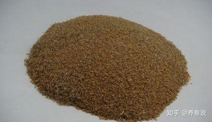 避免對(duì)龍魚有害的飼料成分：喂養(yǎng)龍魚時(shí)，應(yīng)避免使用含有有毒成分的飼料成分和注意事項(xiàng)