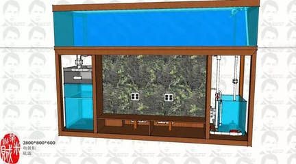 魚缸擺放在電視機旁有什么風水講究？：風水學中的魚缸擺放技巧在風水學中的魚缸擺放位置