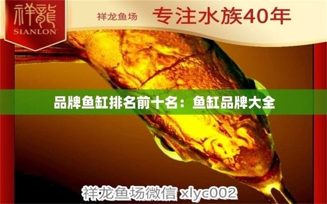 魚缸品牌大全排行榜最新，2024年魚缸品牌性價比對比水族器材品牌創(chuàng)新設計魚缸品牌排行榜