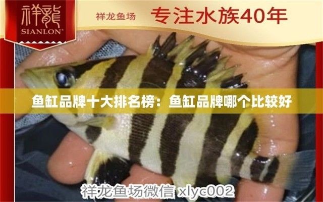 魚缸品牌大全排行榜最新，2024年魚缸品牌性價比對比水族器材品牌創(chuàng)新設計魚缸品牌排行榜