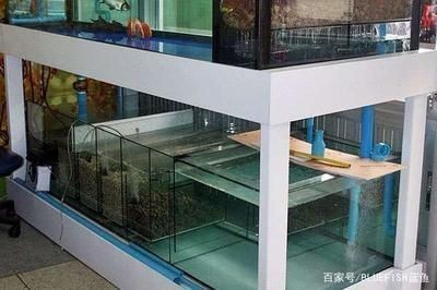 魚缸過濾安裝方法（魚缸的過濾安裝方法） 魚缸過濾安裝方法（魚缸的過濾安裝方法） 魚缸百科 第5張