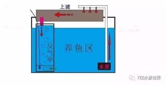 魚缸過濾安裝方法（魚缸的過濾安裝方法） 魚缸過濾安裝方法（魚缸的過濾安裝方法） 魚缸百科 第3張