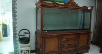 海納利爾水族科技有限公司的售后服務熱線：海納利爾水族科技有限公司官方網站或前往其實體店進行咨詢