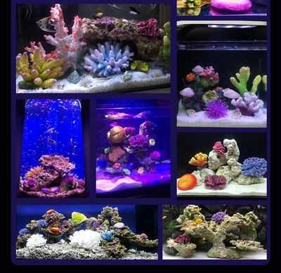 說一說海水魚缸造景的經驗，可能會對您有所幫助，請注意：海水魚缸造景的經驗