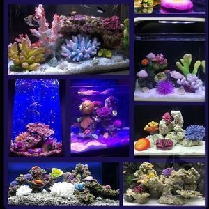 說一說海水魚缸造景的經驗，可能會對您有所幫助，請注意：海水魚缸造景的經驗