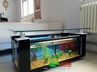 家裝魚缸設計包括的要素（家裝魚缸設計包括哪些）