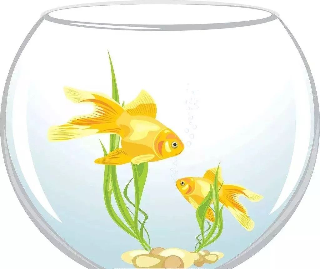 魚缸與財神擺放的風(fēng)水講究：魚缸與財神擺放在風(fēng)水中具有特殊意義，魚缸與財神擺放方位圖解