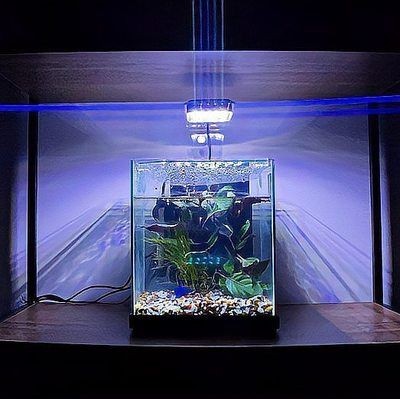 水族器材 水族箱十大品牌排名:2024年國內(nèi)魚缸品牌排名 魚缸百科 水族箱十大品牌排名:2024年國內(nèi)魚缸品牌排名 水族箱十大品牌排名:2024年國內(nèi)魚缸品牌排名 魚缸百科