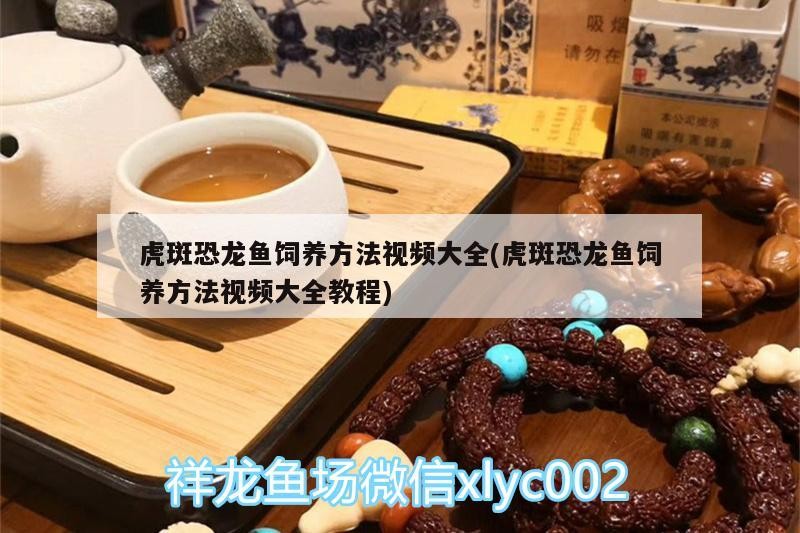 孟連金鑫魚具店 孟連金鑫魚具店 全國水族館企業名錄 第2張