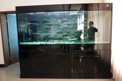 水晶魚缸牌子好么：選擇水晶魚缸應注意哪些問題