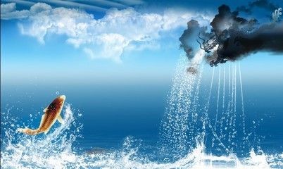 龍魚缸背景圖案設計（設計龍魚缸背景圖案時需要考慮風水原則、美學考量、個人喜好） 龍魚缸背景圖案設計（設計龍魚缸背景圖案時需要考慮風水原則、美學考量、個人喜好） 魚缸百科 第1張