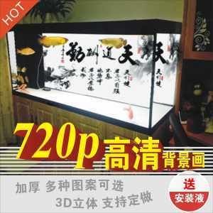 龍魚缸背景圖案設計（設計龍魚缸背景圖案時需要考慮風水原則、美學考量、個人喜好） 龍魚缸背景圖案設計（設計龍魚缸背景圖案時需要考慮風水原則、美學考量、個人喜好） 魚缸百科 第5張