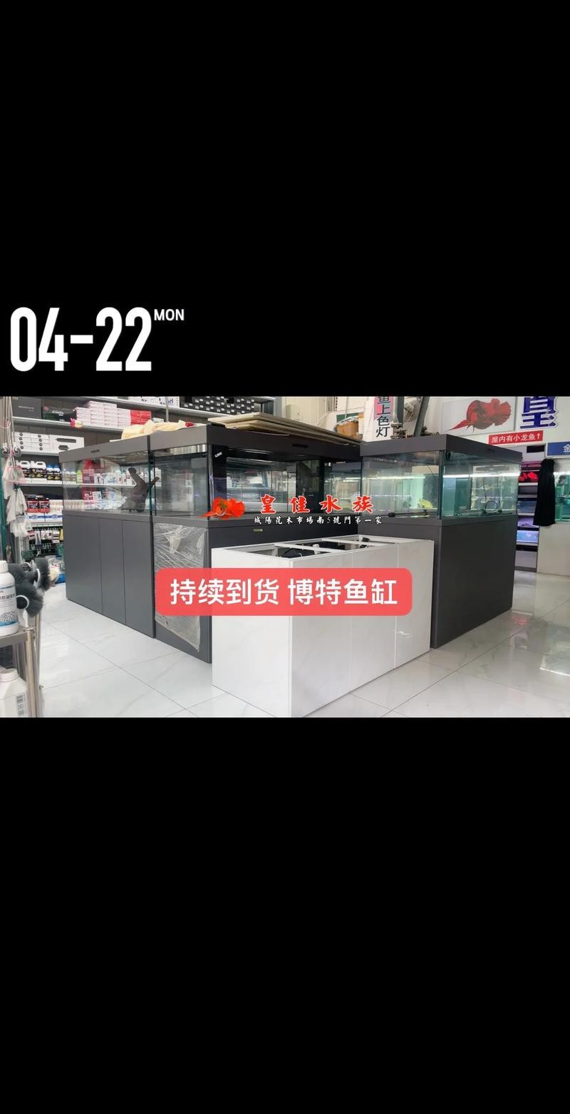 紅龍魚的飼養方法講解視頻大全圖片 紅龍魚的飼養方法講解視頻大全圖片 龍魚百科 第22張