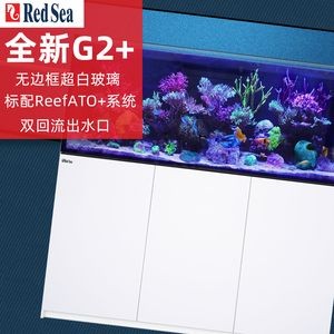 紅海魚缸的出水口設計是如何設計的？：紅海魚缸清潔技巧大揭秘