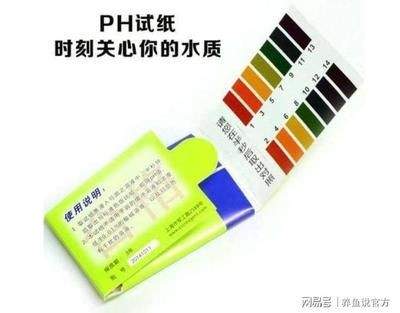 龍魚怎么燒的嫩：如何使龍魚變得非常嫩滑